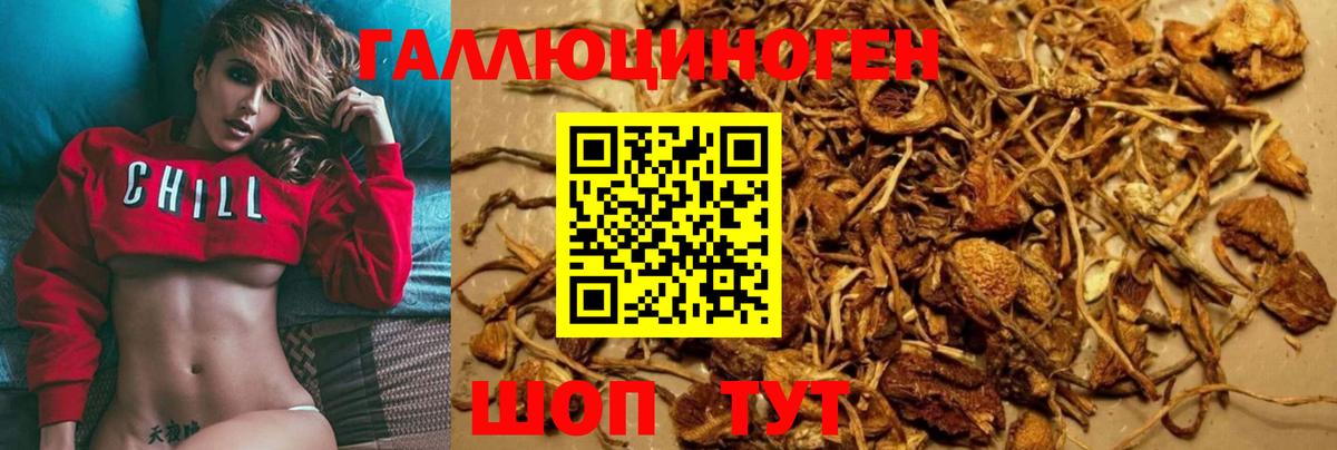 Псилоцибиновые грибы Magic Shrooms  наркошоп  Мценск  Вход с VPN 